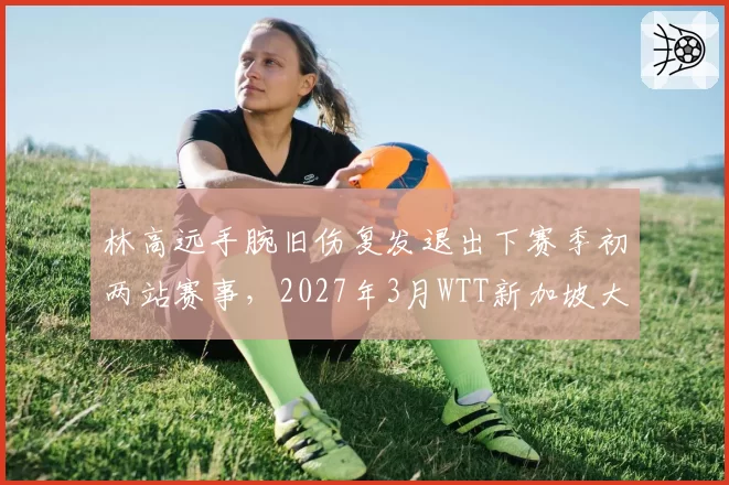 林高远手腕旧伤复发退出下赛季初两站赛事，2027年3月WTT新加坡大满贯成复出起点
